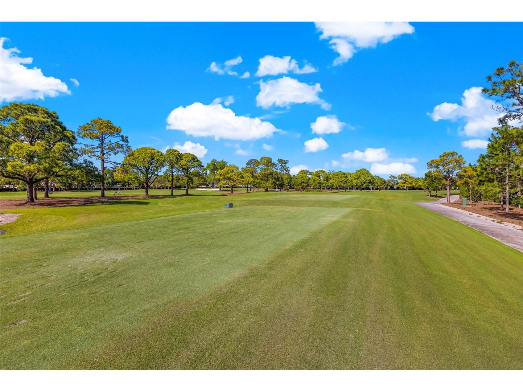 616 Pineland Avenue Belleair FL 33756 TB8523443 image30