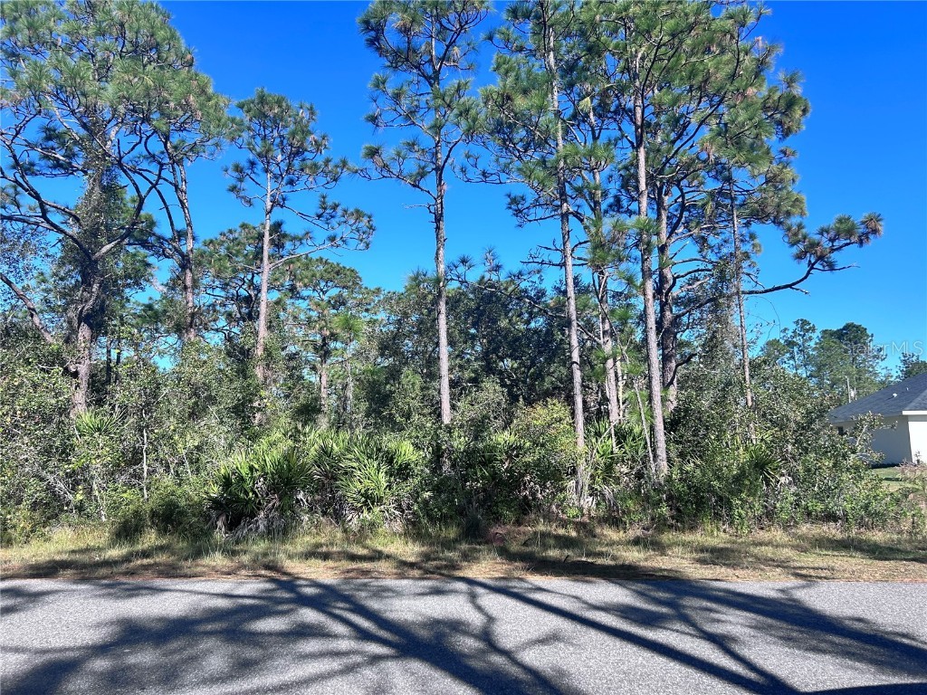 616 Poinciana Drive Lake Wales FL 33855 P4932537 image1