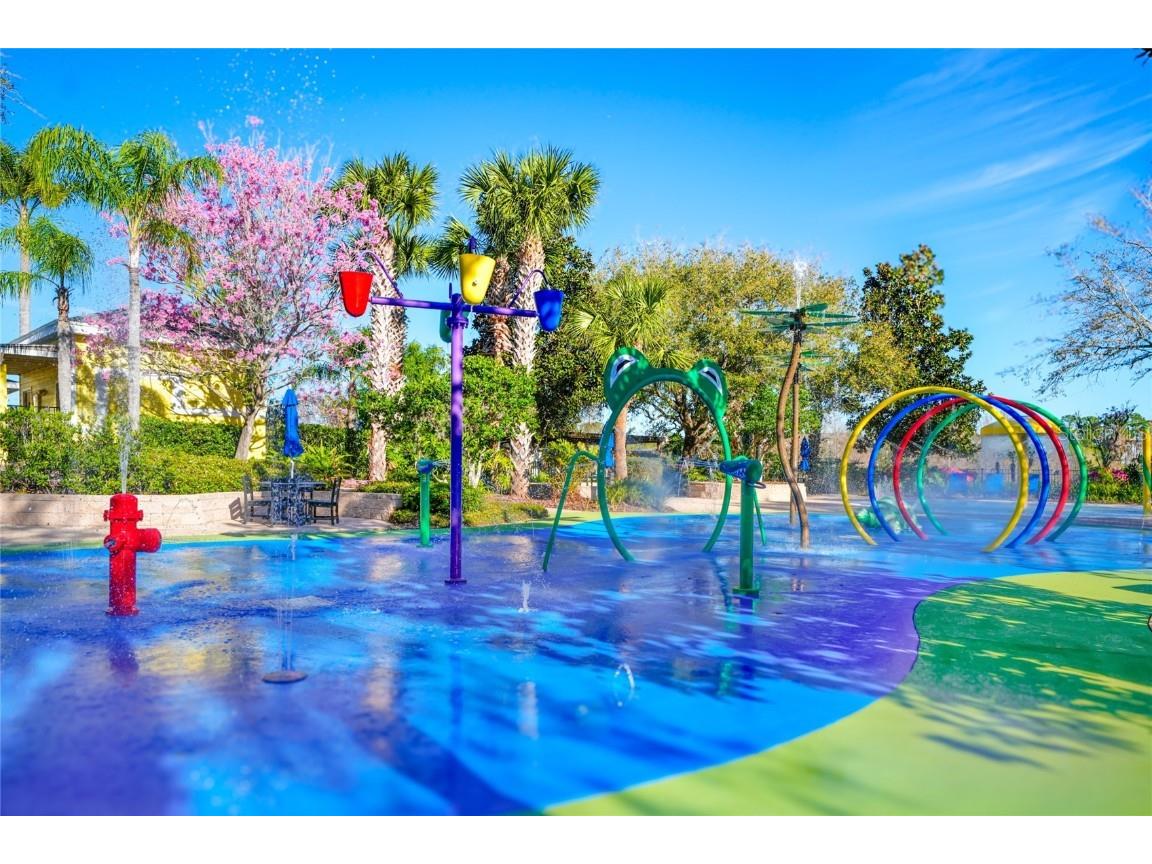 616 Rum Run #616 Davenport FL 33897 O6338150 image43