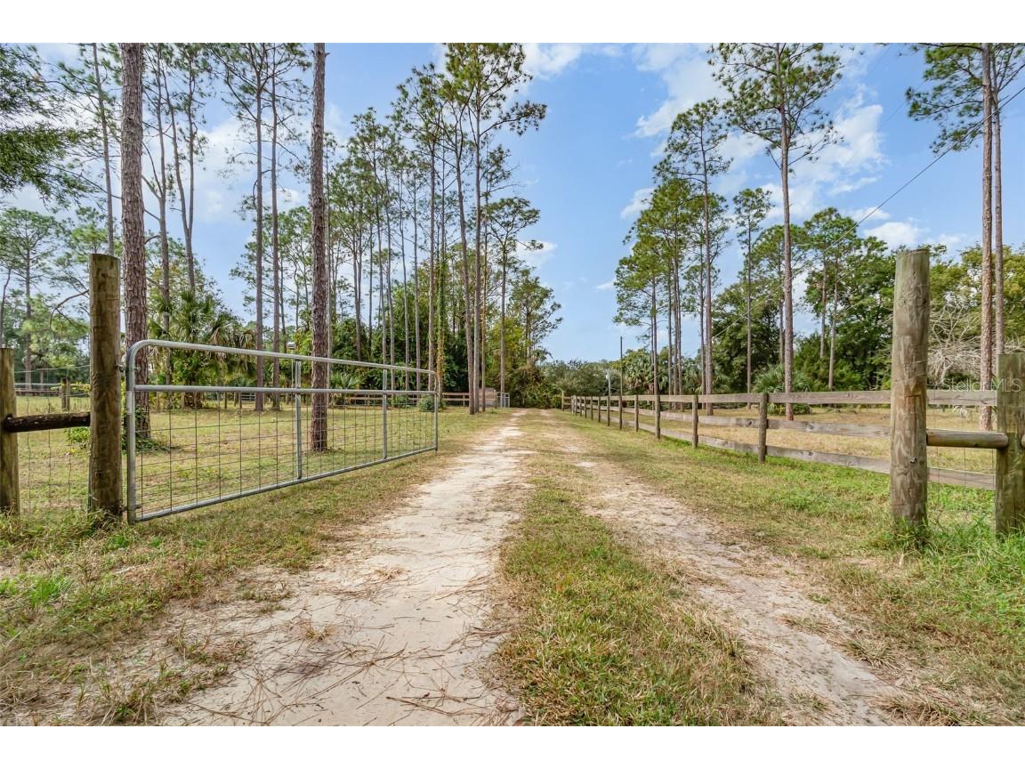 6160 Allen Street Mount Dora FL 32757 O6362697 image18