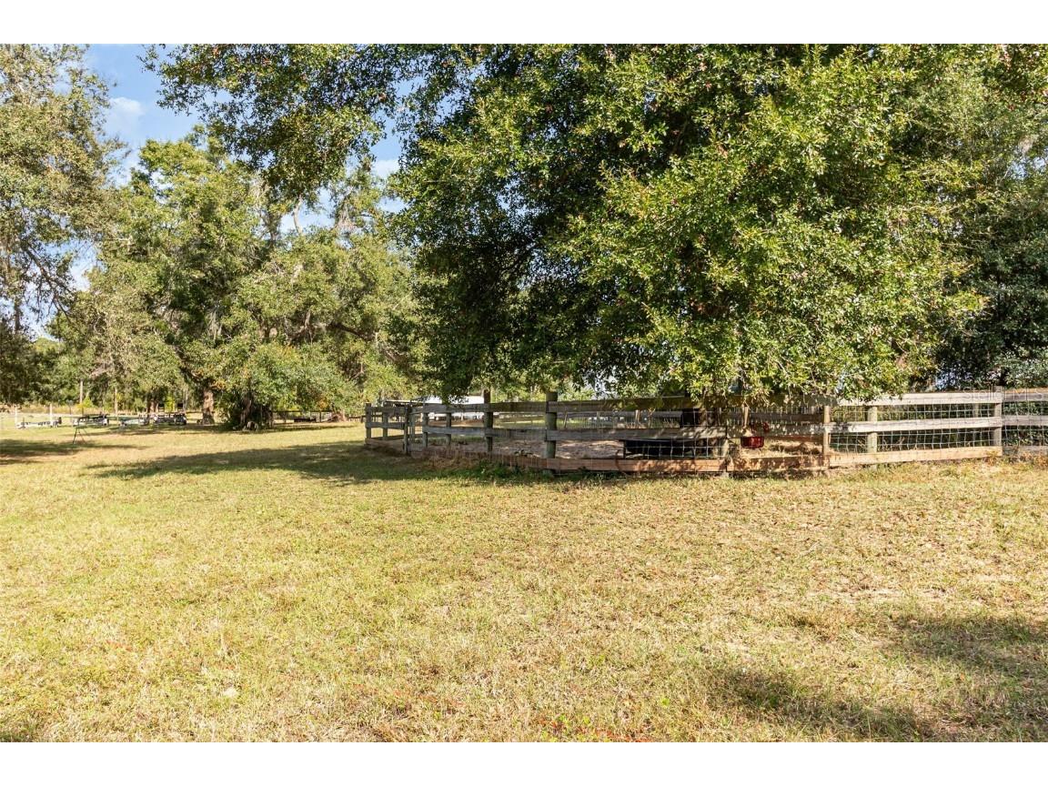 6160 Allen Street Mount Dora FL 32757 O6362697 image23