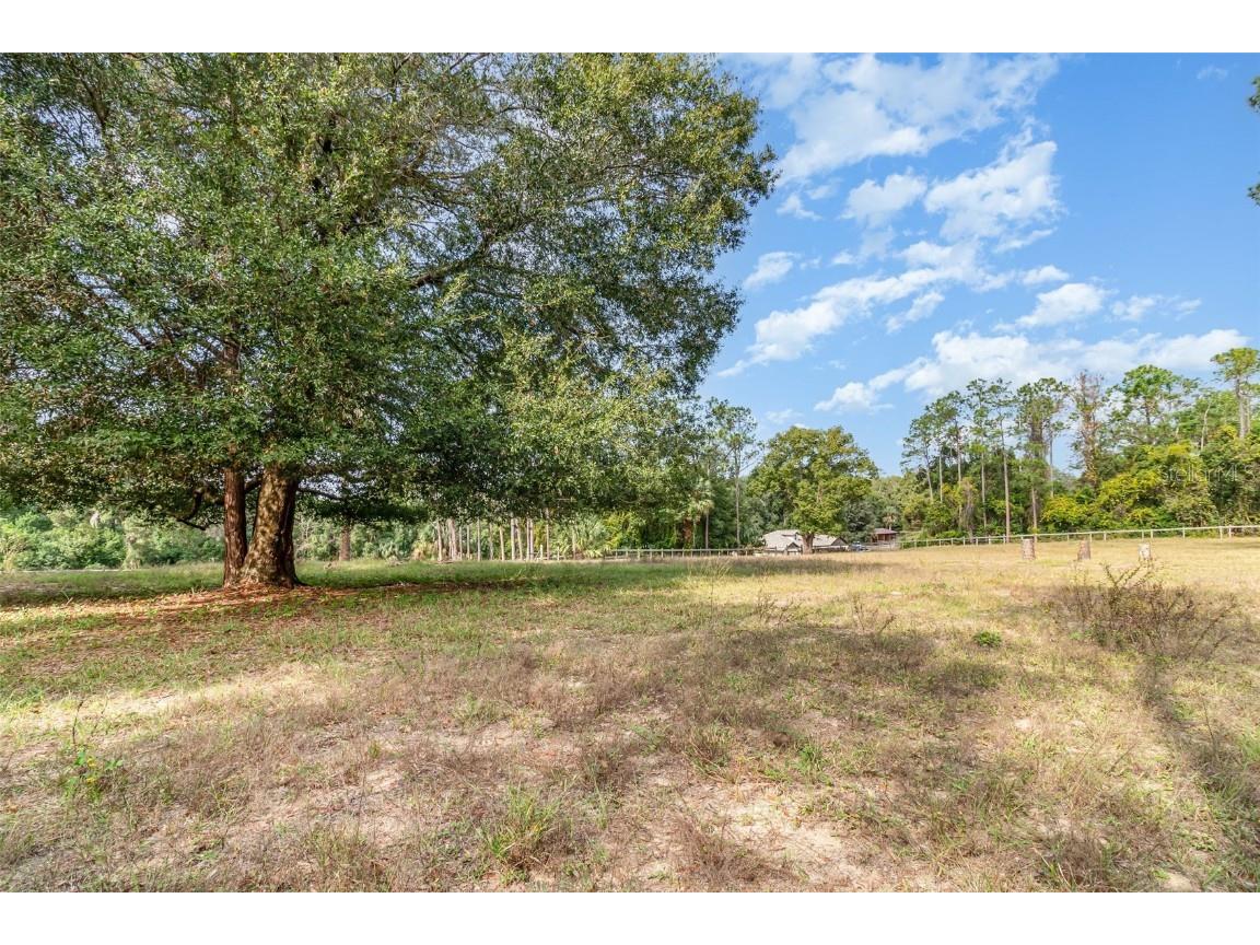 6160 Allen Street Mount Dora FL 32757 O6362697 image24