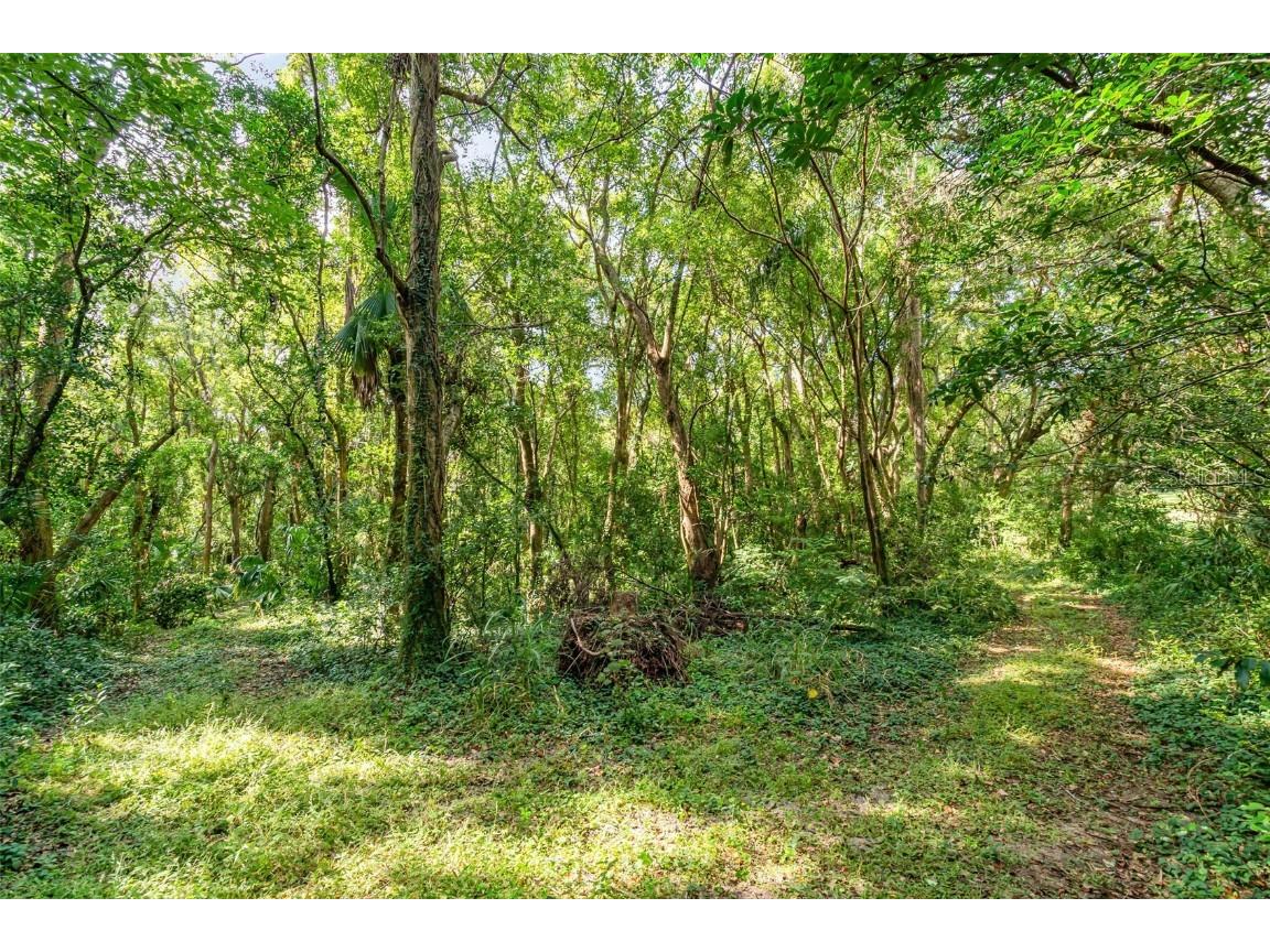 6160 Allen Street Mount Dora FL 32757 O6362697 image25