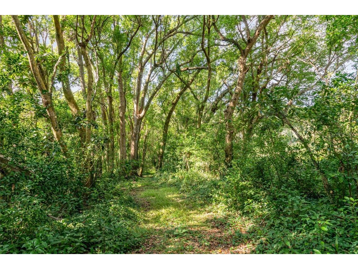 6160 Allen Street Mount Dora FL 32757 O6362697 image26