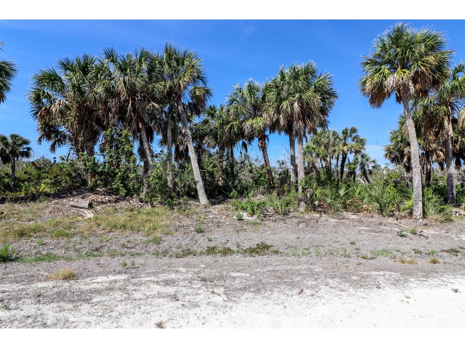 6160 Rum Cove Drive Placida FL 33946 TB8380111 image5
