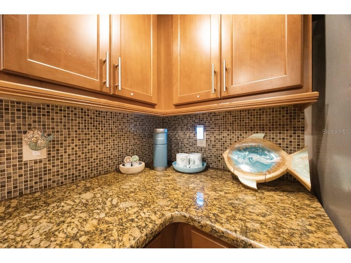 6161 Gulf Winds Drive #347 Saint Pete Beach FL 33706 TB8397493 image15
