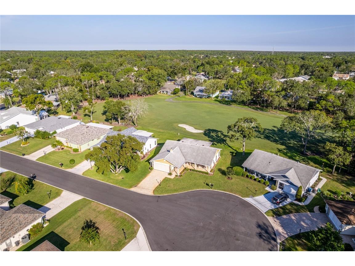 6163 Spyglass Court Spring Hill FL 34606 W7880121 image7