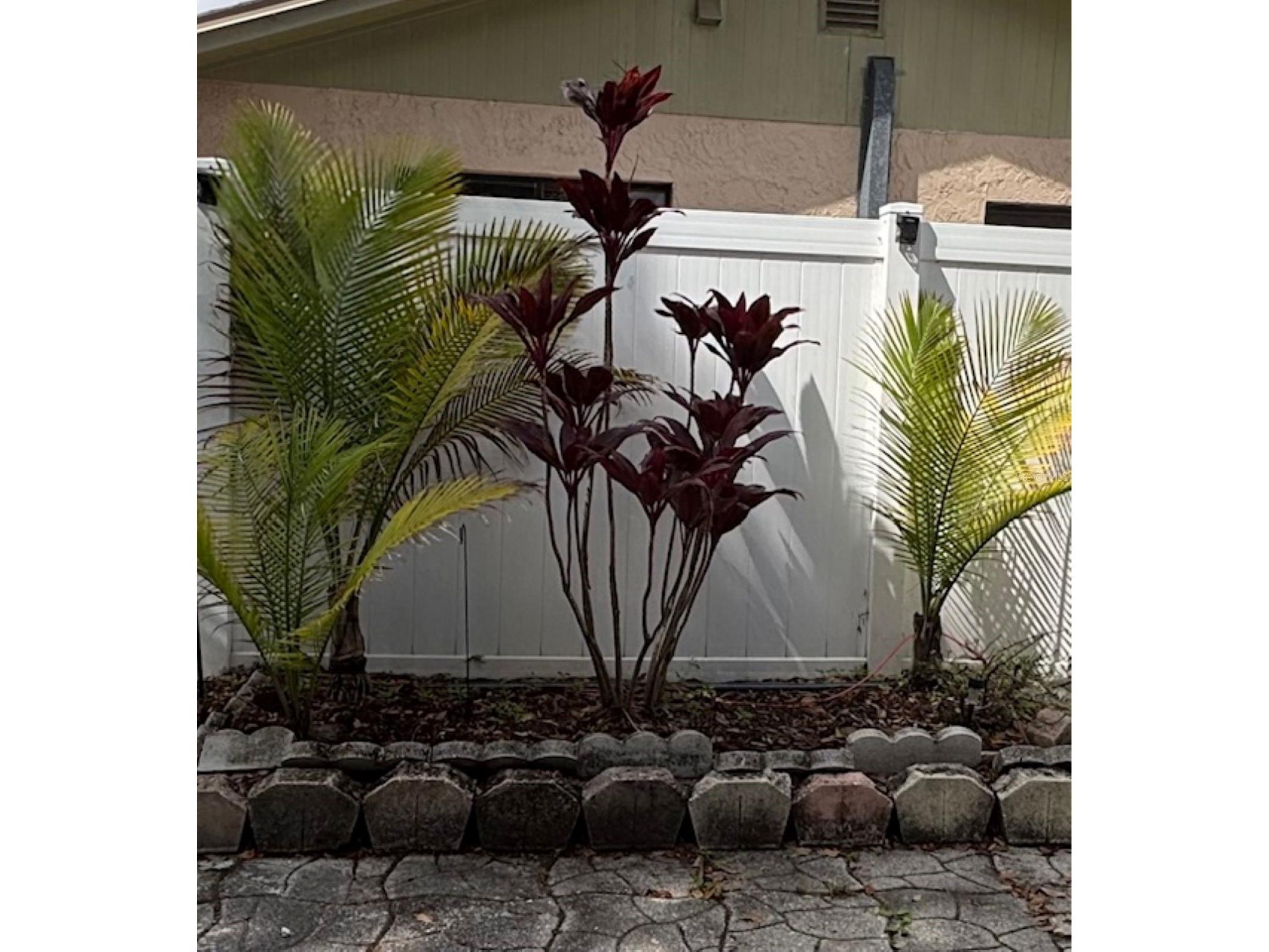 6164 97th Terrace N Pinellas Park FL 33782 TB8450396 image16