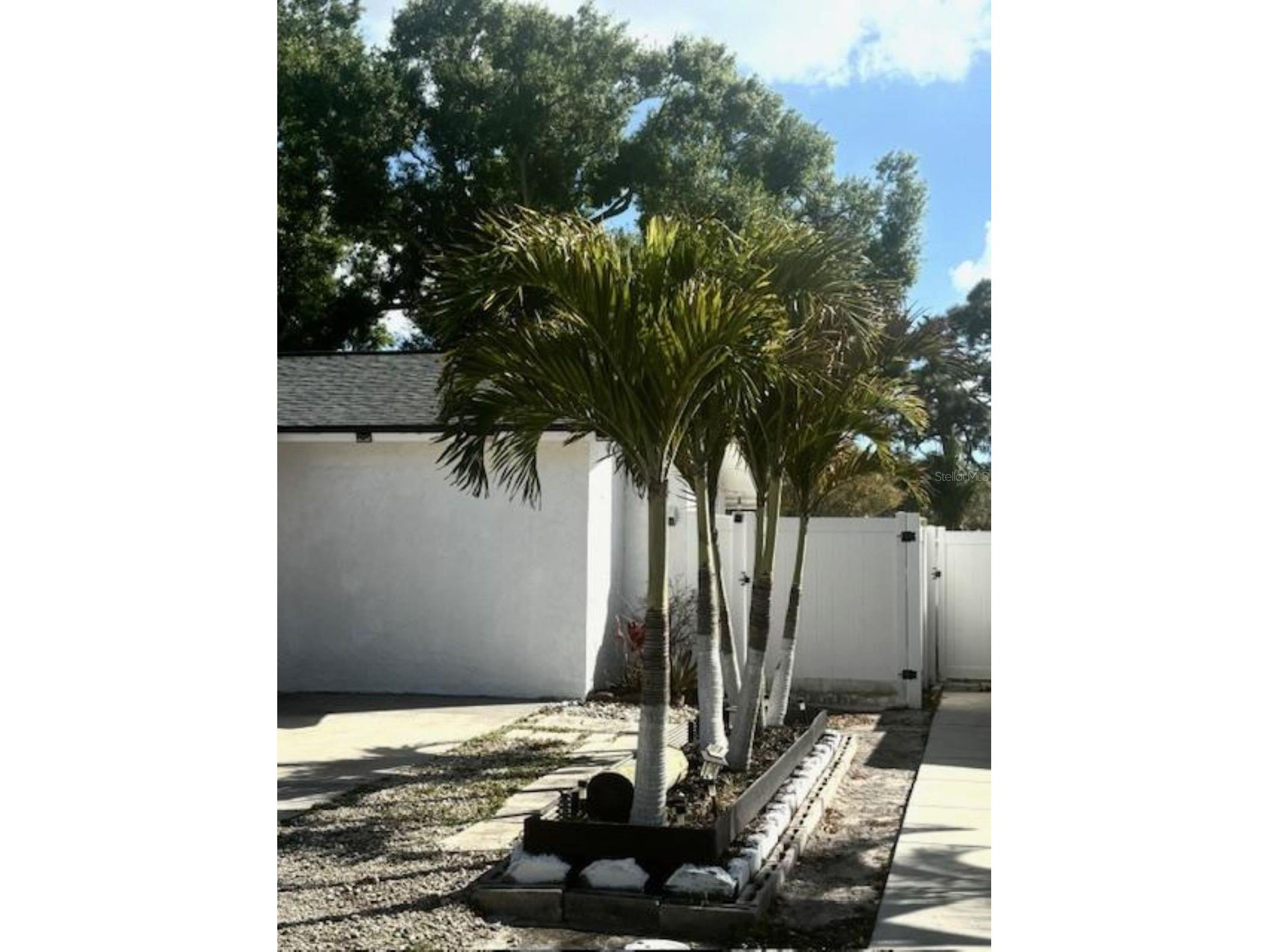 6164 97th Terrace N Pinellas Park FL 33782 TB8450396 image20