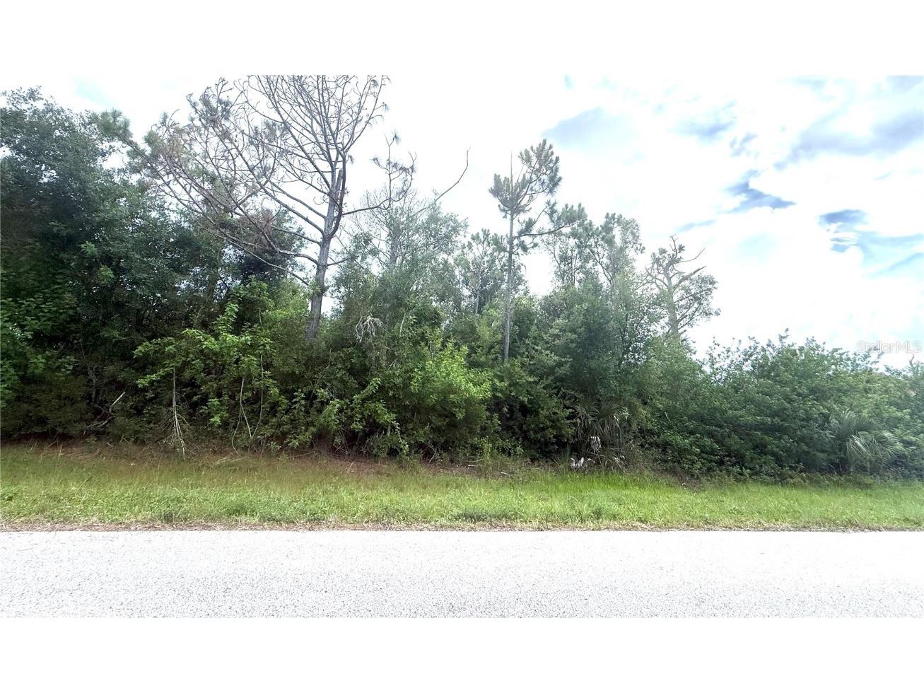 6165 & 6173 Blackberry Street Englewood FL 34224 C7511541 image2