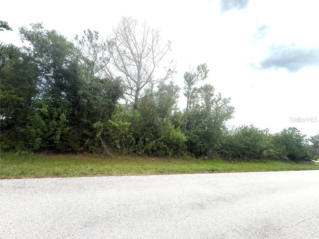 6165 & 6173 Blackberry Street Englewood FL 34224 C7511541 image5