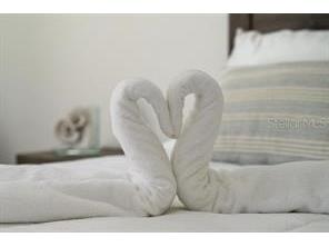 6165 Carrier Drive #2108 Orlando FL 32819 S5141685 image21