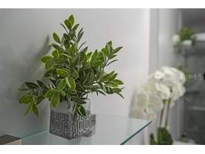 6165 Carrier Drive #2108 Orlando FL 32819 S5141685 image34