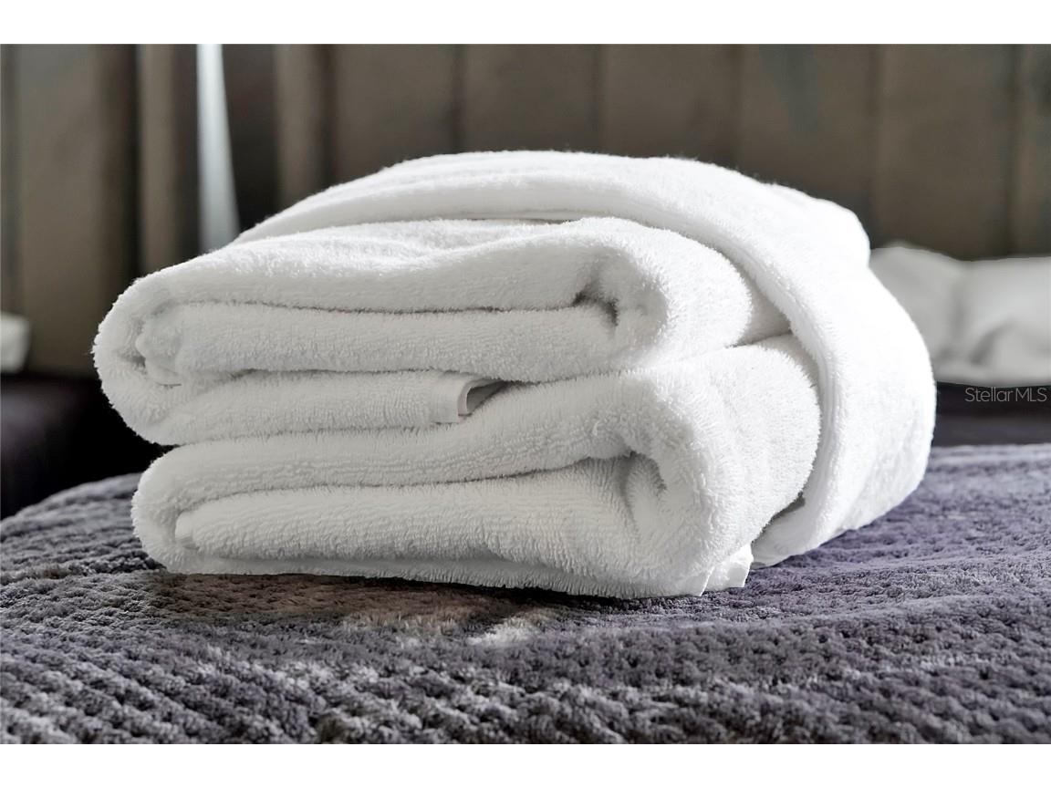 6165 Carrier Drive #3701 Orlando FL 32819 O6289910 image25