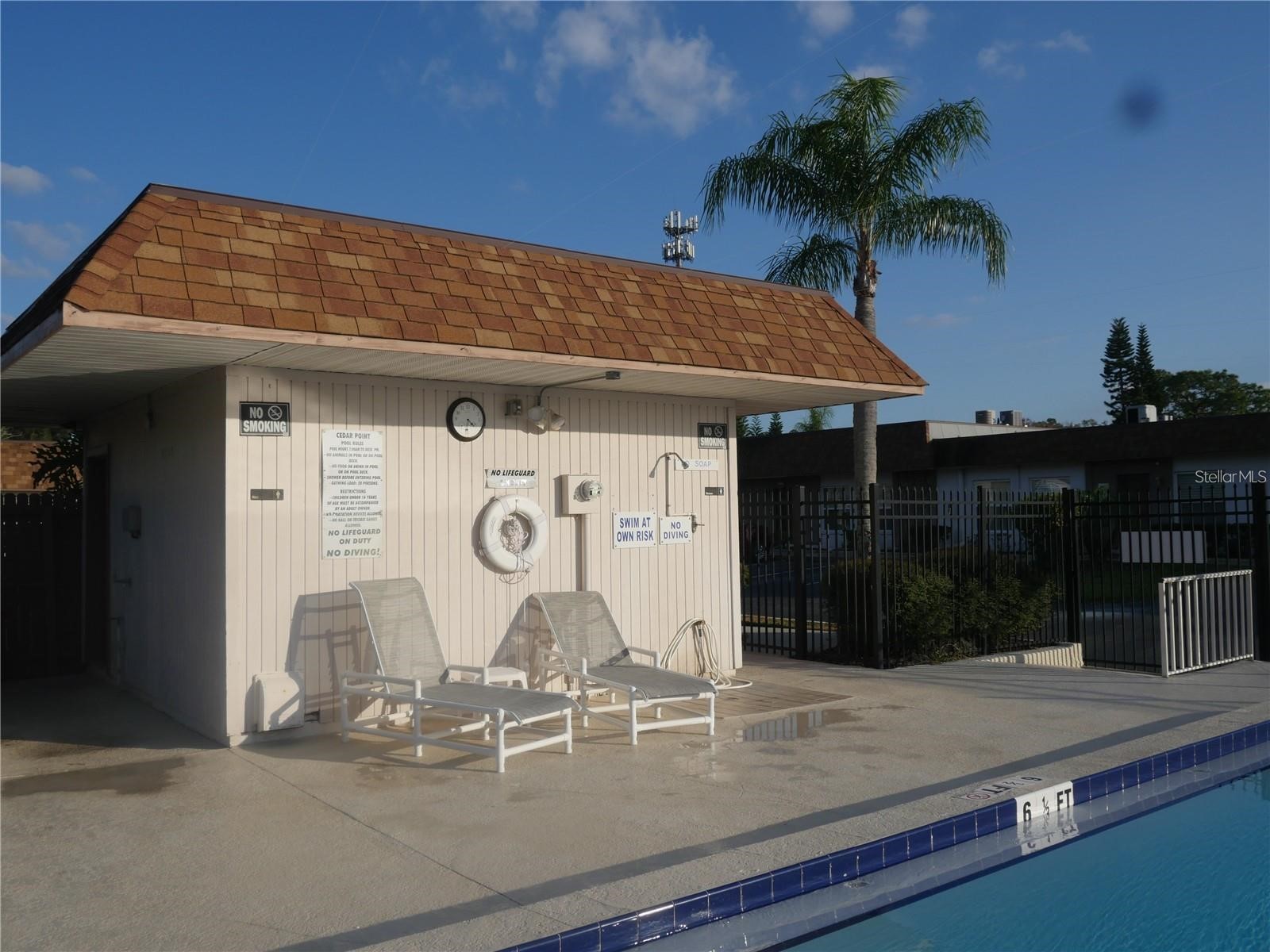 6165 Chesham Drive #5 New Port Richey FL 34653 TB8497406 image35