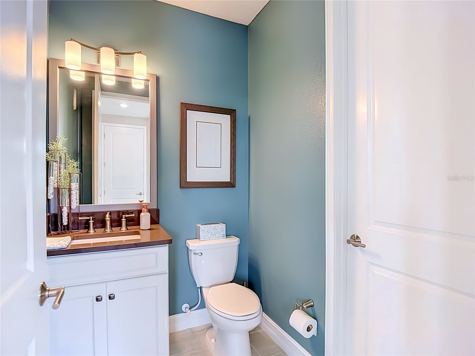 6166 Marsh Trail Drive Odessa FL 33556 TB8521523 image36