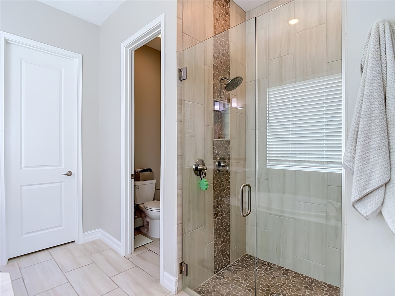 6166 Marsh Trail Drive Odessa FL 33556 TB8521523 image41