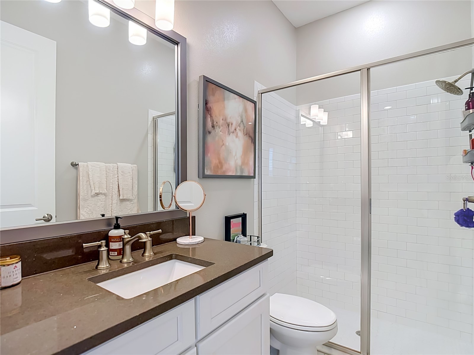6166 Marsh Trail Drive Odessa FL 33556 TB8521523 image48