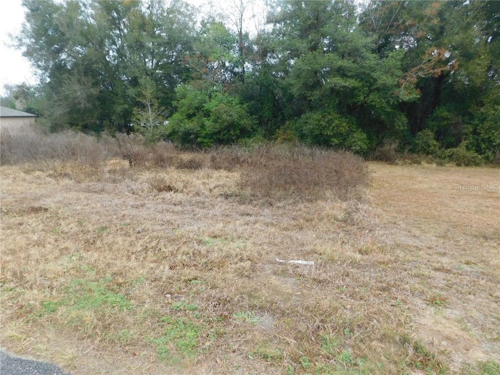 6166 Sumter Drive Brooksville FL 34602 W7842112 image1