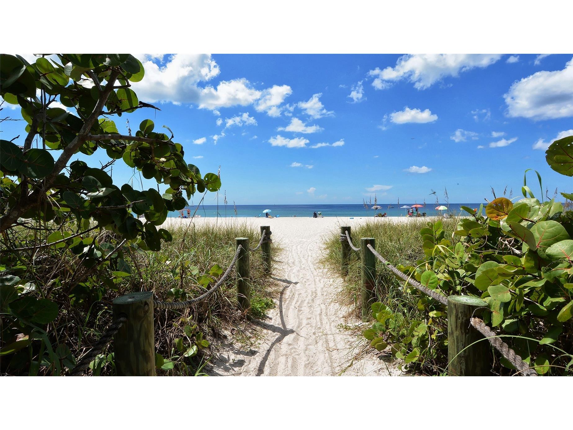 6166 Winding Pine Drive Nokomis FL 34275 A4688430 image81