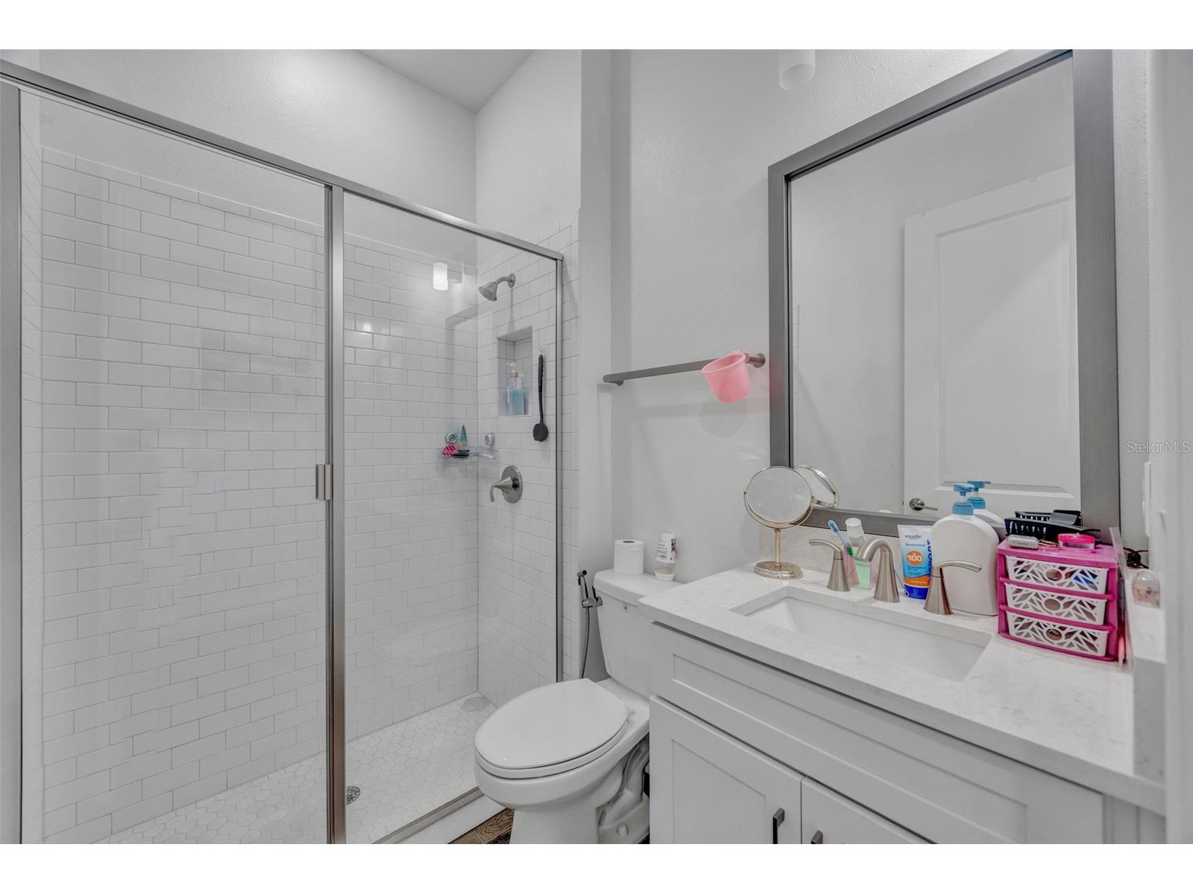 6167 Marsh Trail Drive Odessa FL 33556 TB8483250 image13