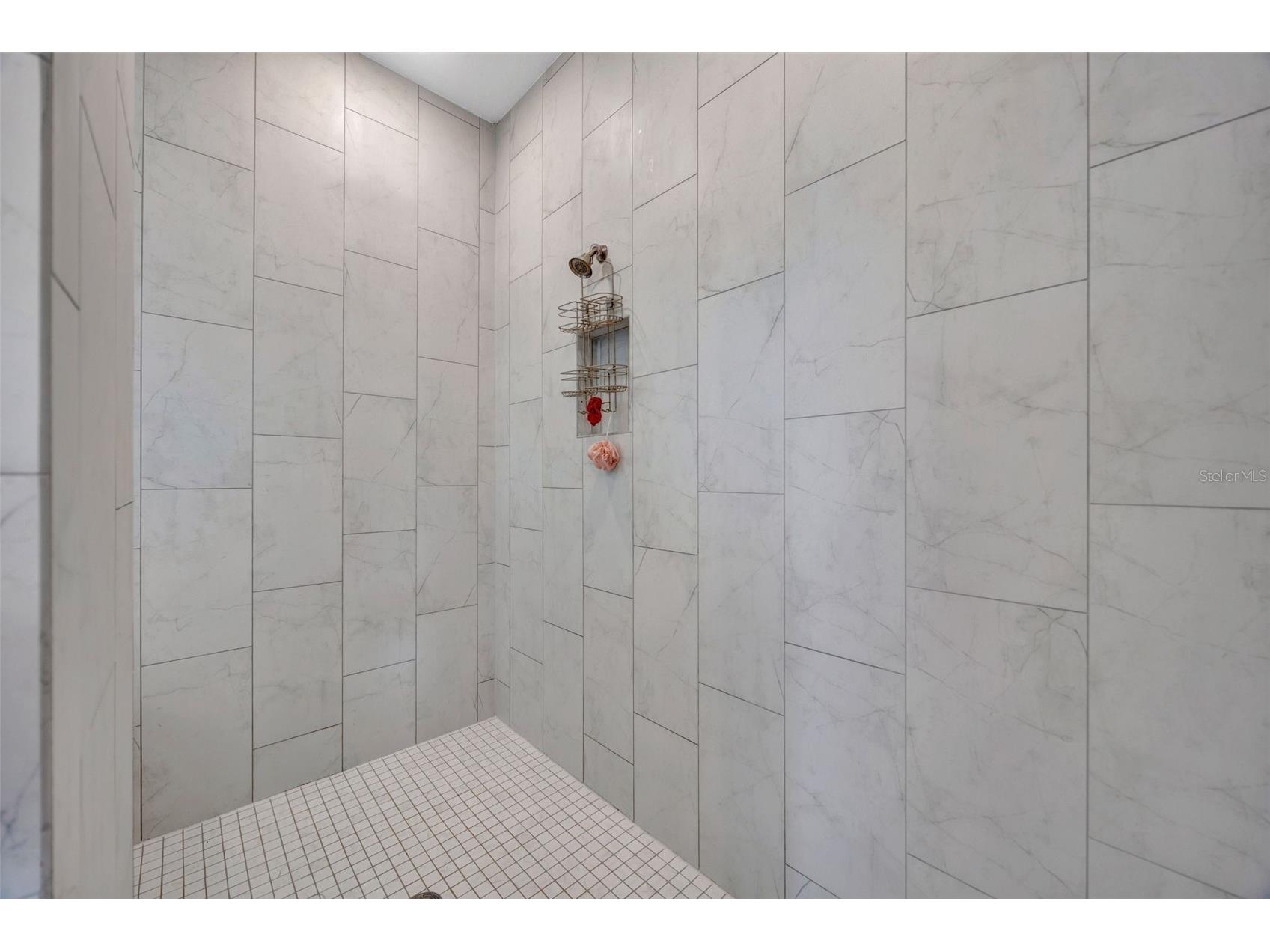 6167 Marsh Trail Drive Odessa FL 33556 TB8483250 image27