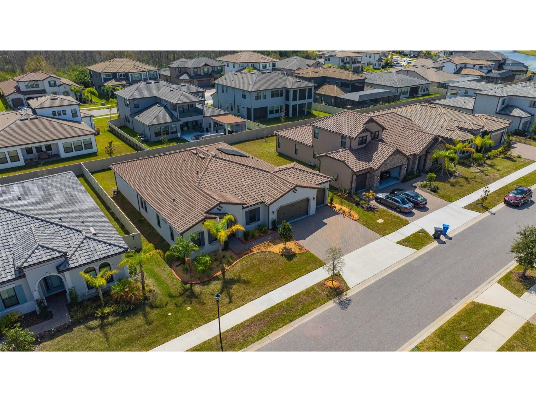 6167 Marsh Trail Drive Odessa FL 33556 TB8483250 image5