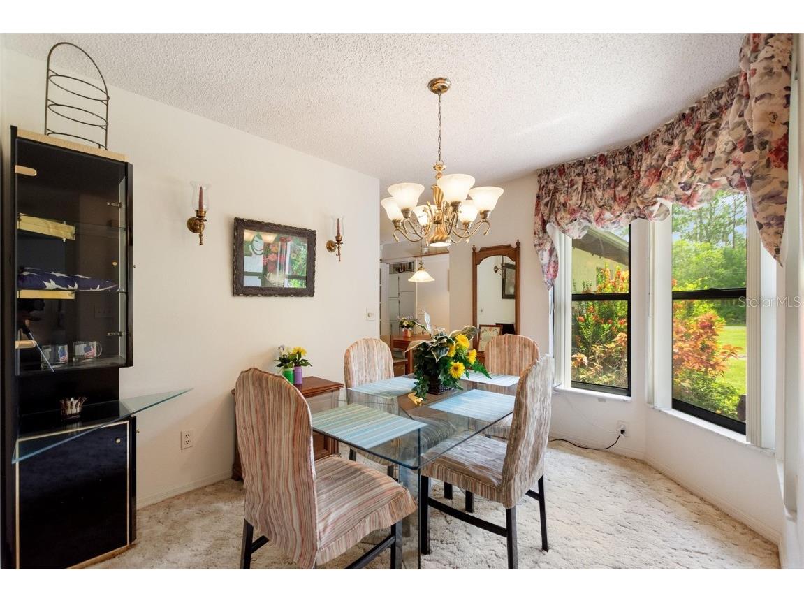 6168 Arborea Drive Indian Lake Estates FL 33855 - LAKE WALK IN WATER TB8403423 image7