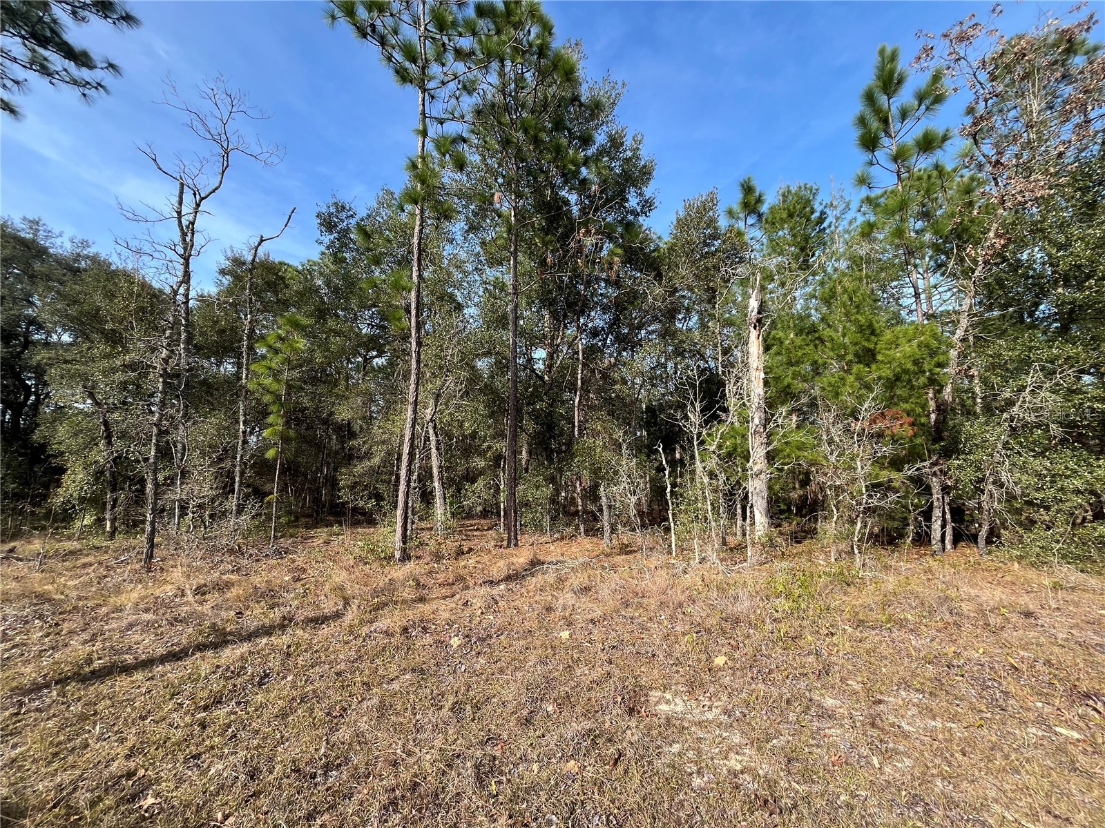 6168 Emory Avenue Keystone Heights FL 32656 K4903464 image1