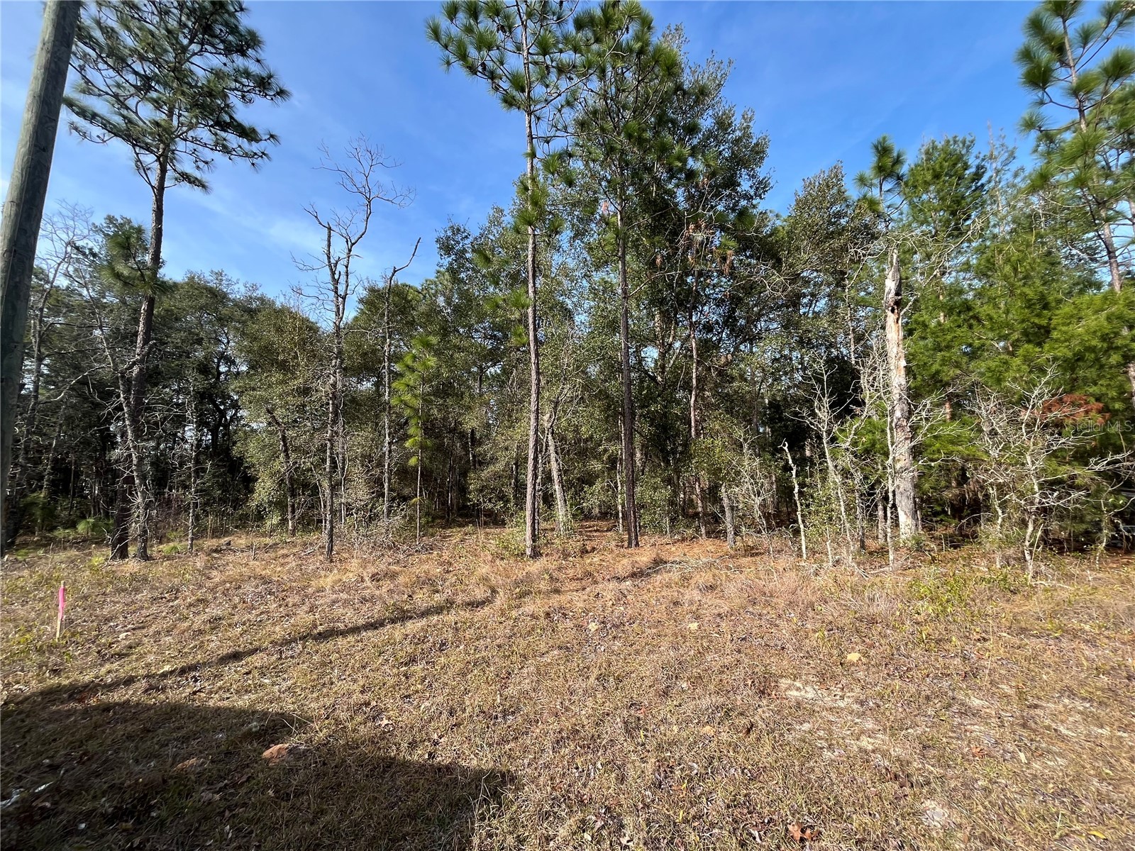 6168 Emory Avenue Keystone Heights FL 32656 K4903464 image2
