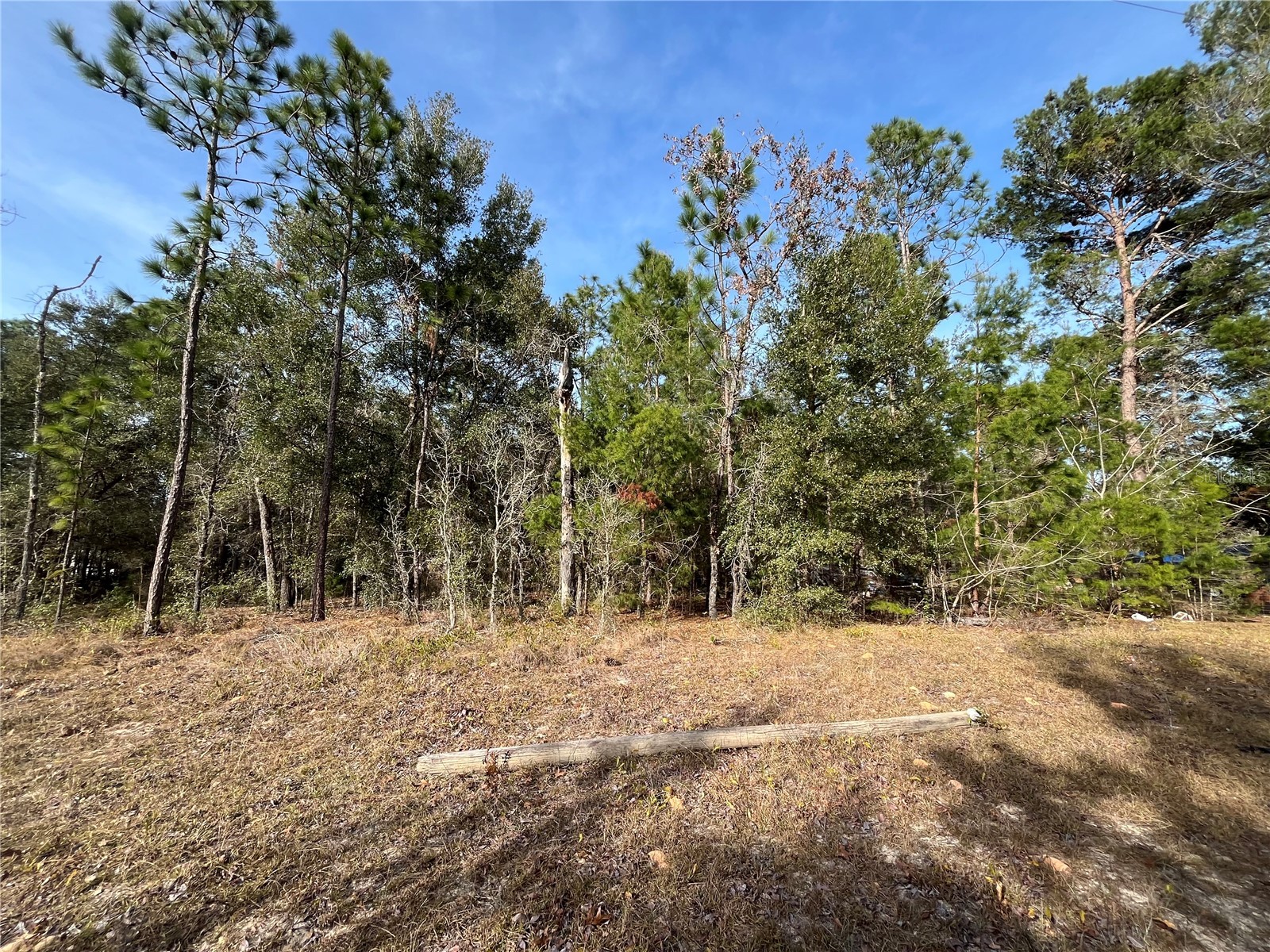 6168 Emory Avenue Keystone Heights FL 32656 K4903464 image3