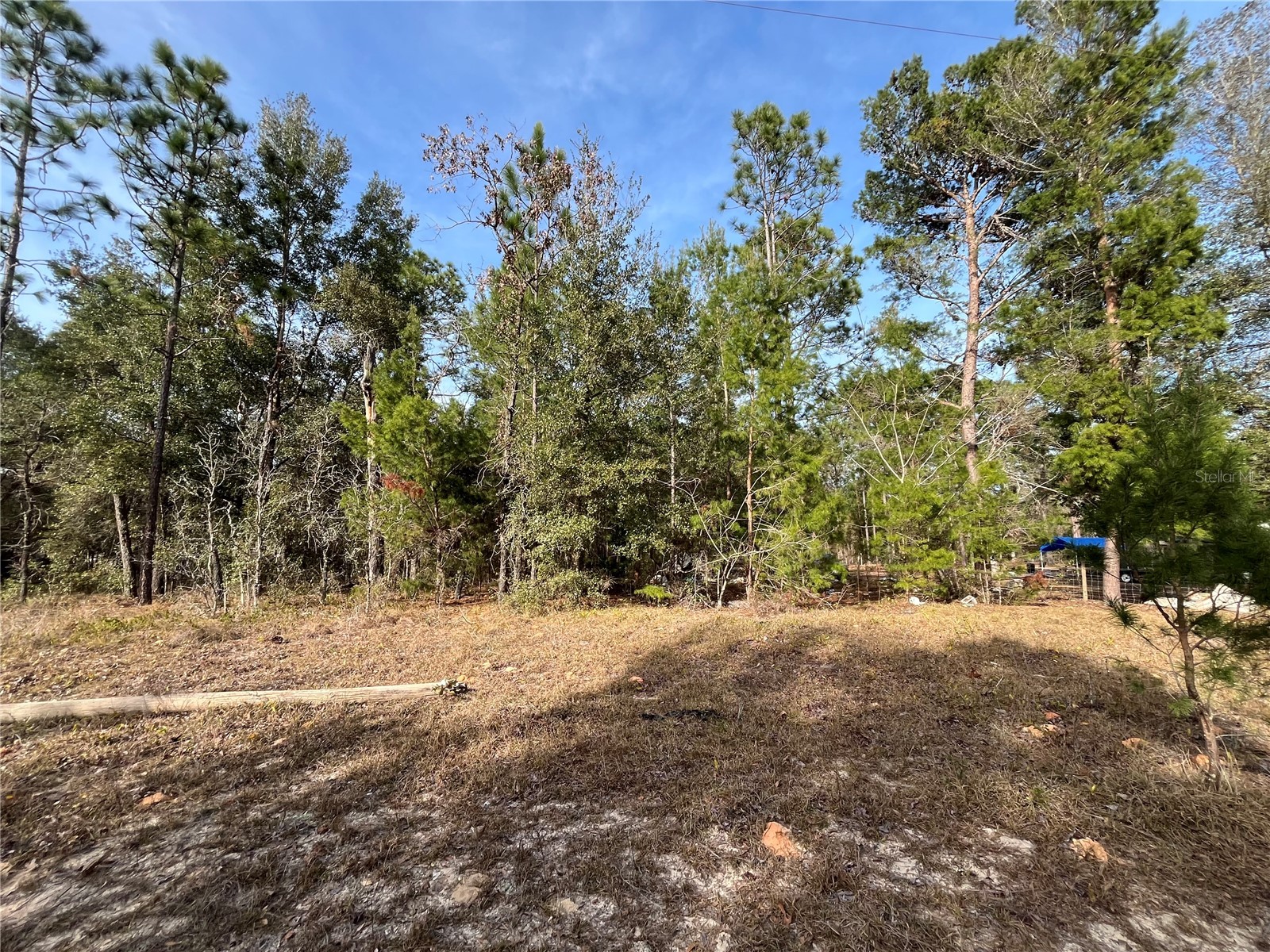 6168 Emory Avenue Keystone Heights FL 32656 K4903464 image5
