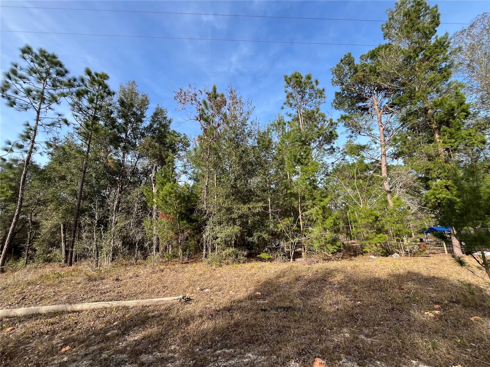 6168 Emory Avenue Keystone Heights FL 32656 K4903464 image6