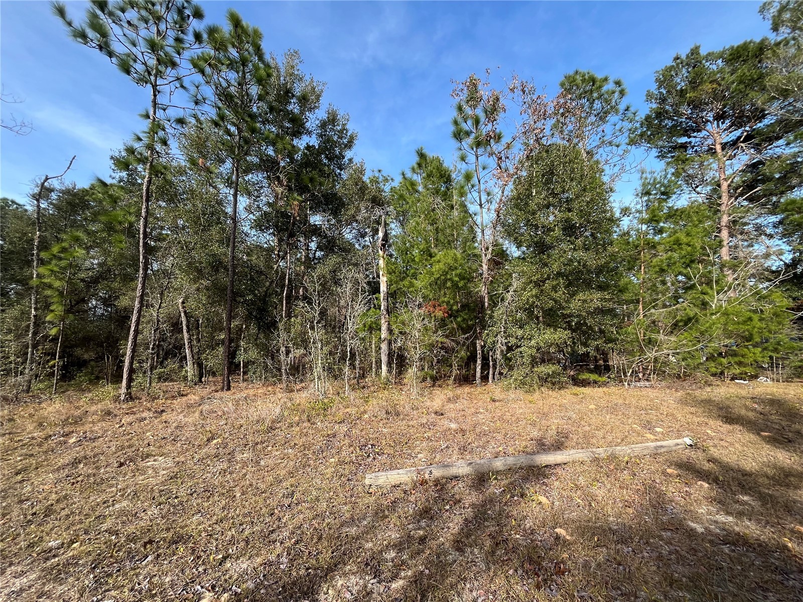 6168 Emory Avenue Keystone Heights FL 32656 K4903464 image8