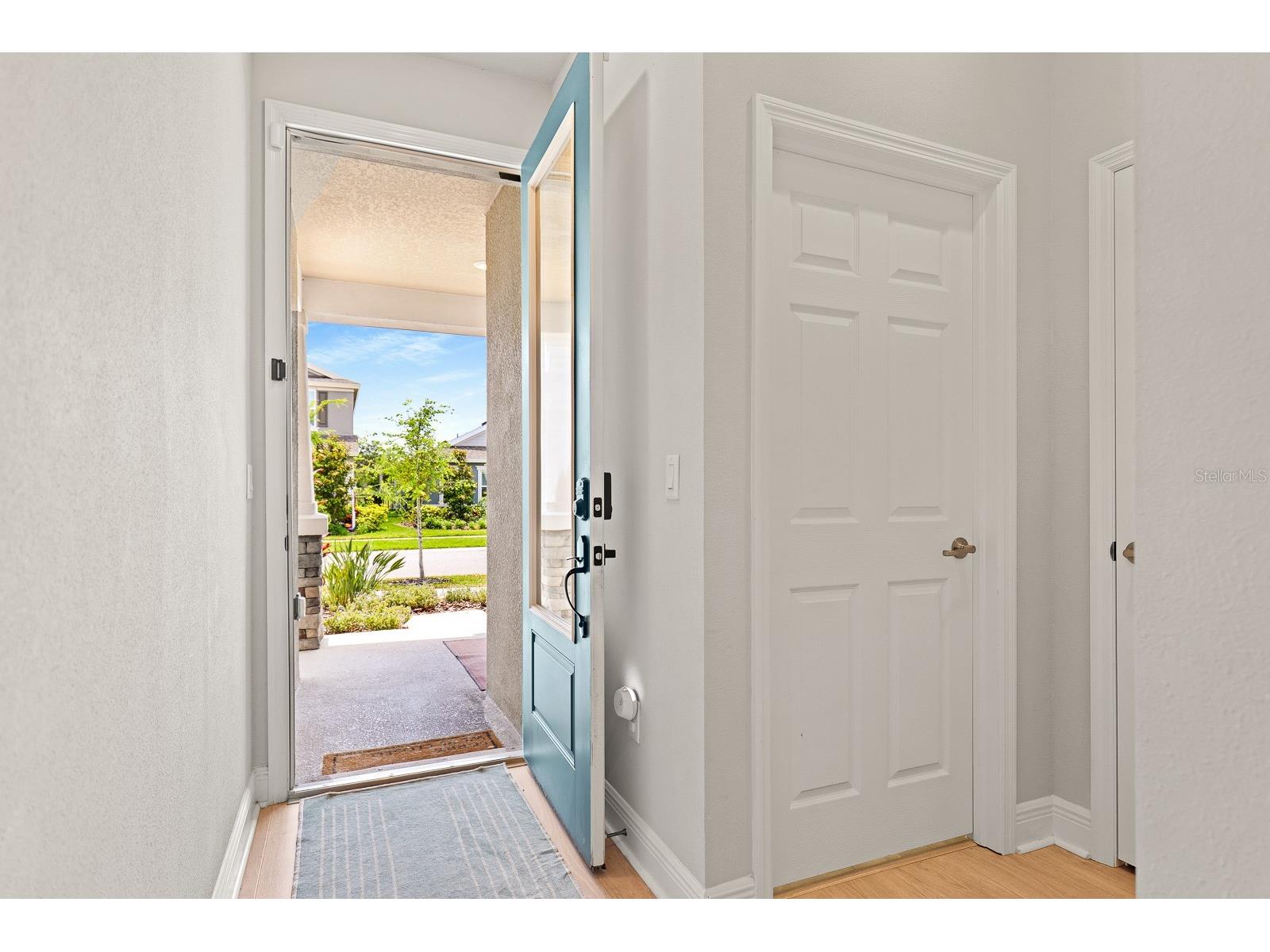 6168 Golden Nettle Drive Apollo Beach FL 33572 TB8501508 image3