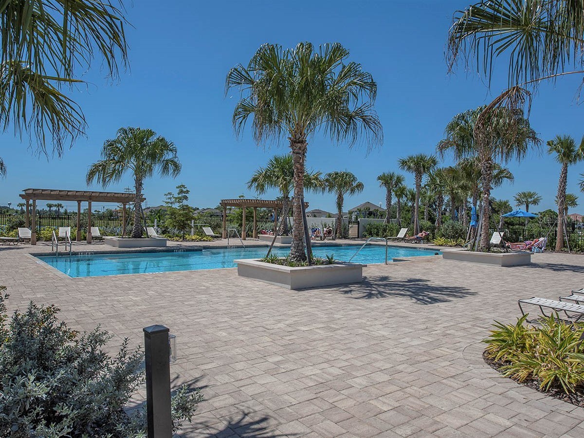 6168 Golden Nettle Drive Apollo Beach FL 33572 TB8501508 image39