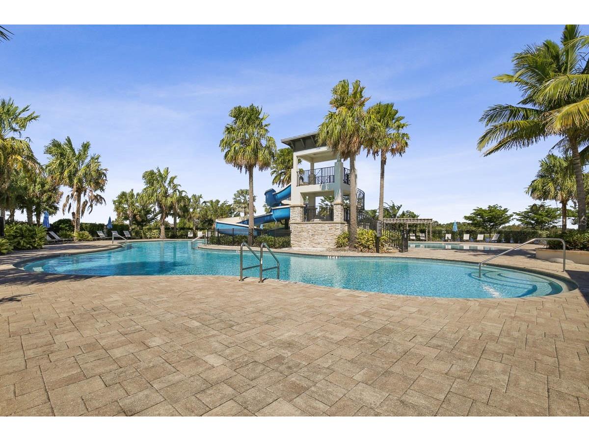 6168 Golden Nettle Drive Apollo Beach FL 33572 TB8501508 image46