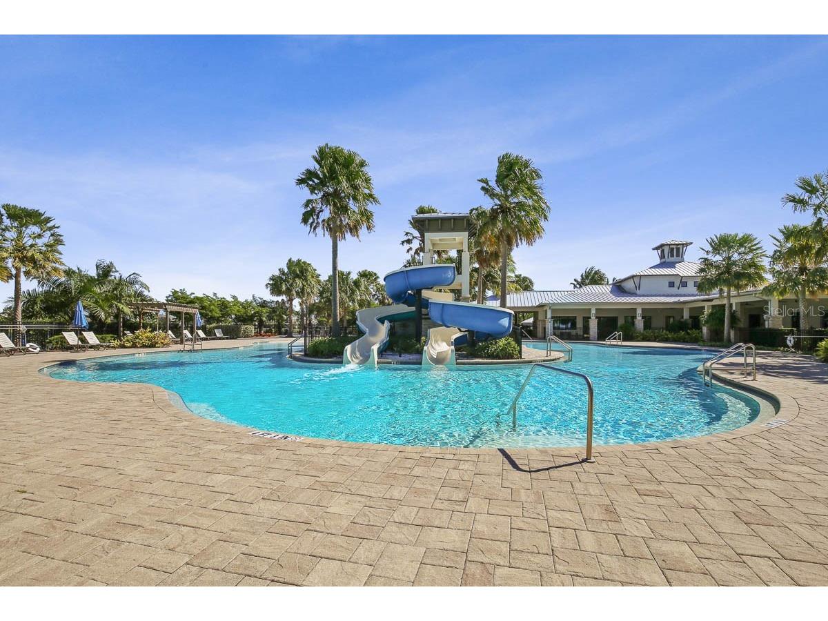 6168 Golden Nettle Drive Apollo Beach FL 33572 TB8501508 image47