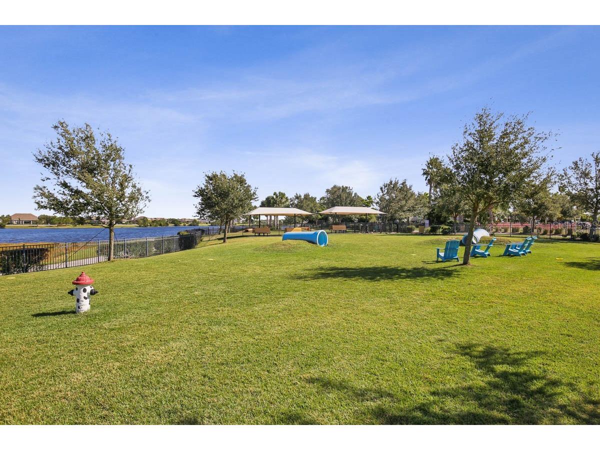6168 Golden Nettle Drive Apollo Beach FL 33572 TB8501508 image48