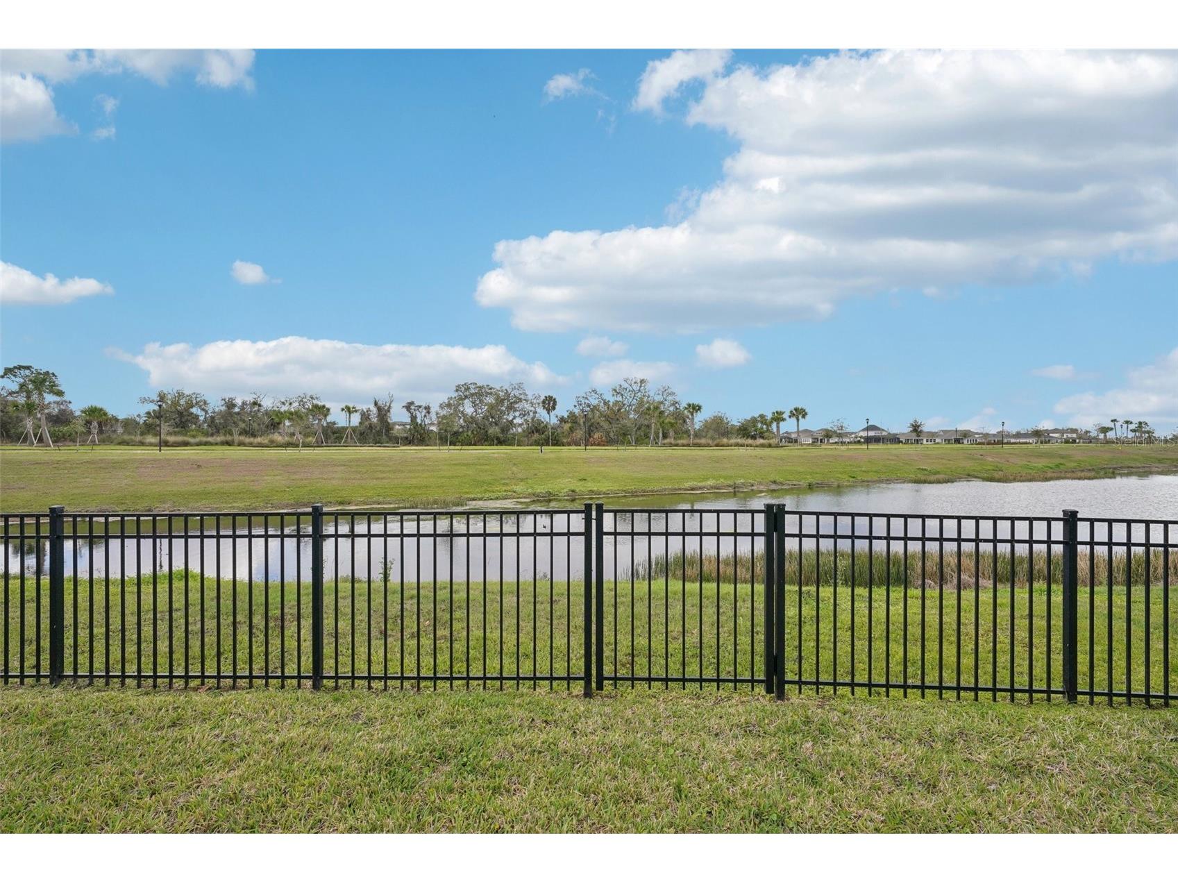 6169 Golden Nettle Drive Apollo Beach FL 33572 TB8481935 image30