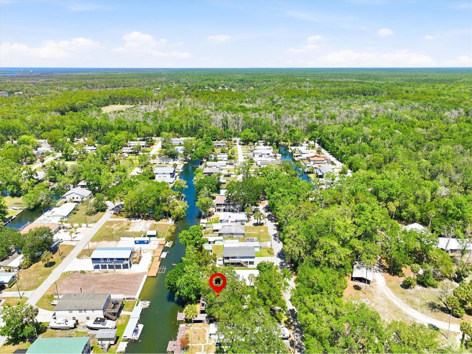 6169 Waverly Road Weeki Wachee FL 34607 - WEEKI WACHEE RIVER CANAL W7884987 image14