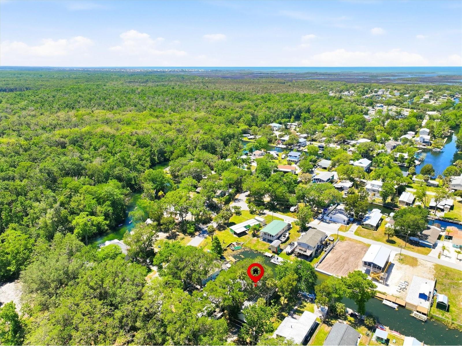 6169 Waverly Road Weeki Wachee FL 34607 - WEEKI WACHEE RIVER CANAL W7884987 image17