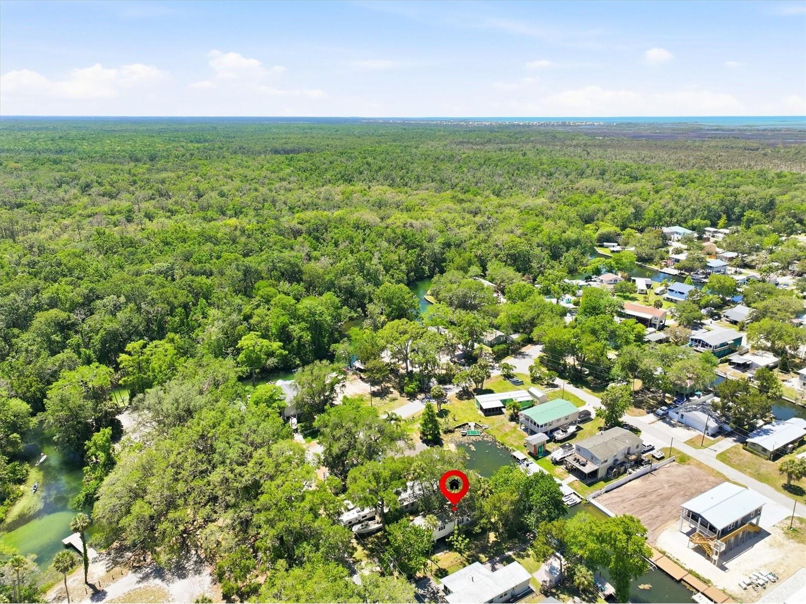 6169 Waverly Road Weeki Wachee FL 34607 - WEEKI WACHEE RIVER CANAL W7884987 image18