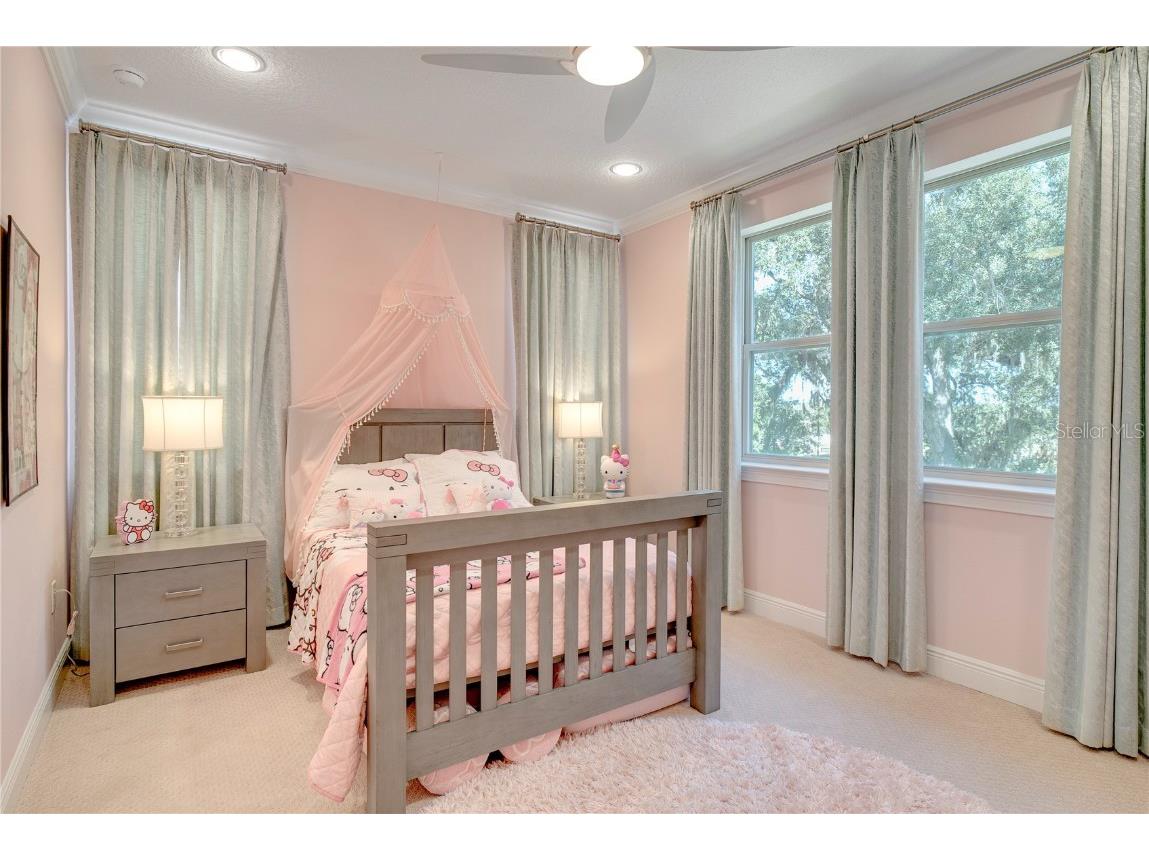 617 Canopy Estates Drive Winter Garden FL 34787 O6345429 image28