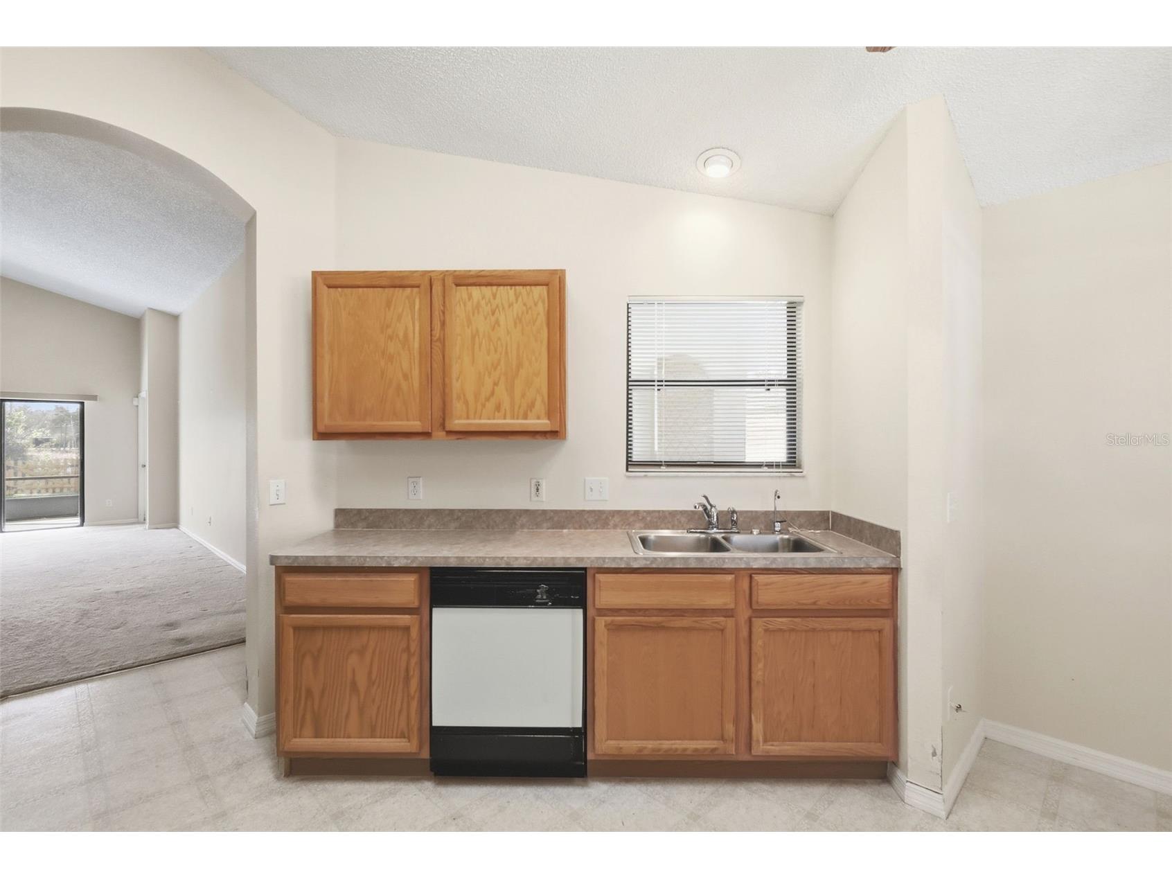 617 Copper Beech Boulevard Deltona FL 32725 - Basswood Lake V4947648 image16