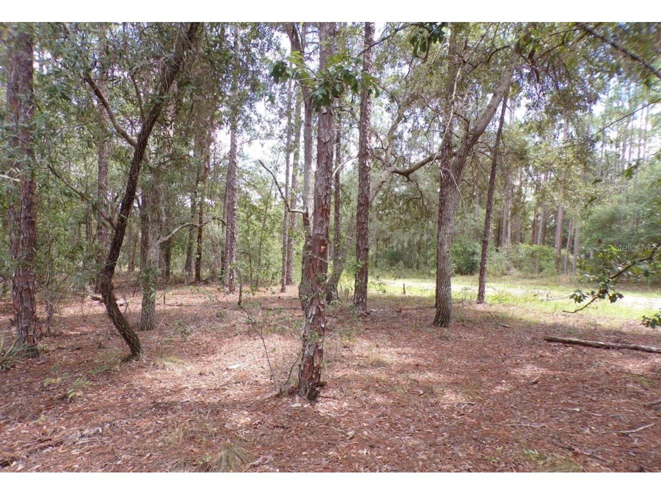 617 E Marquette Lane Dunnellon FL 34434 O6387196 image1
