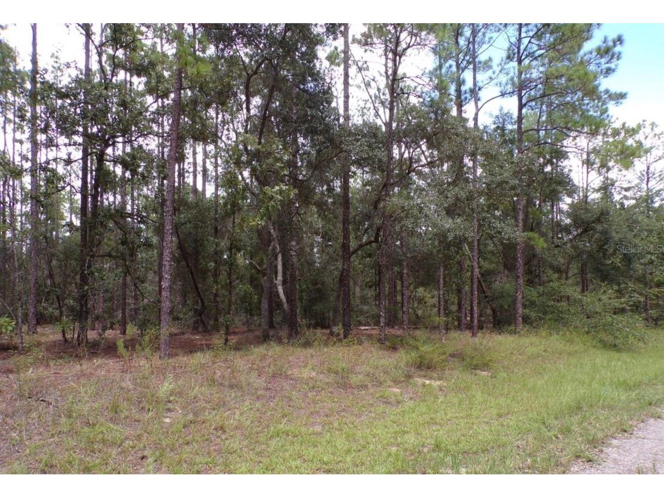 617 E Marquette Lane Dunnellon FL 34434 O6387196 image2