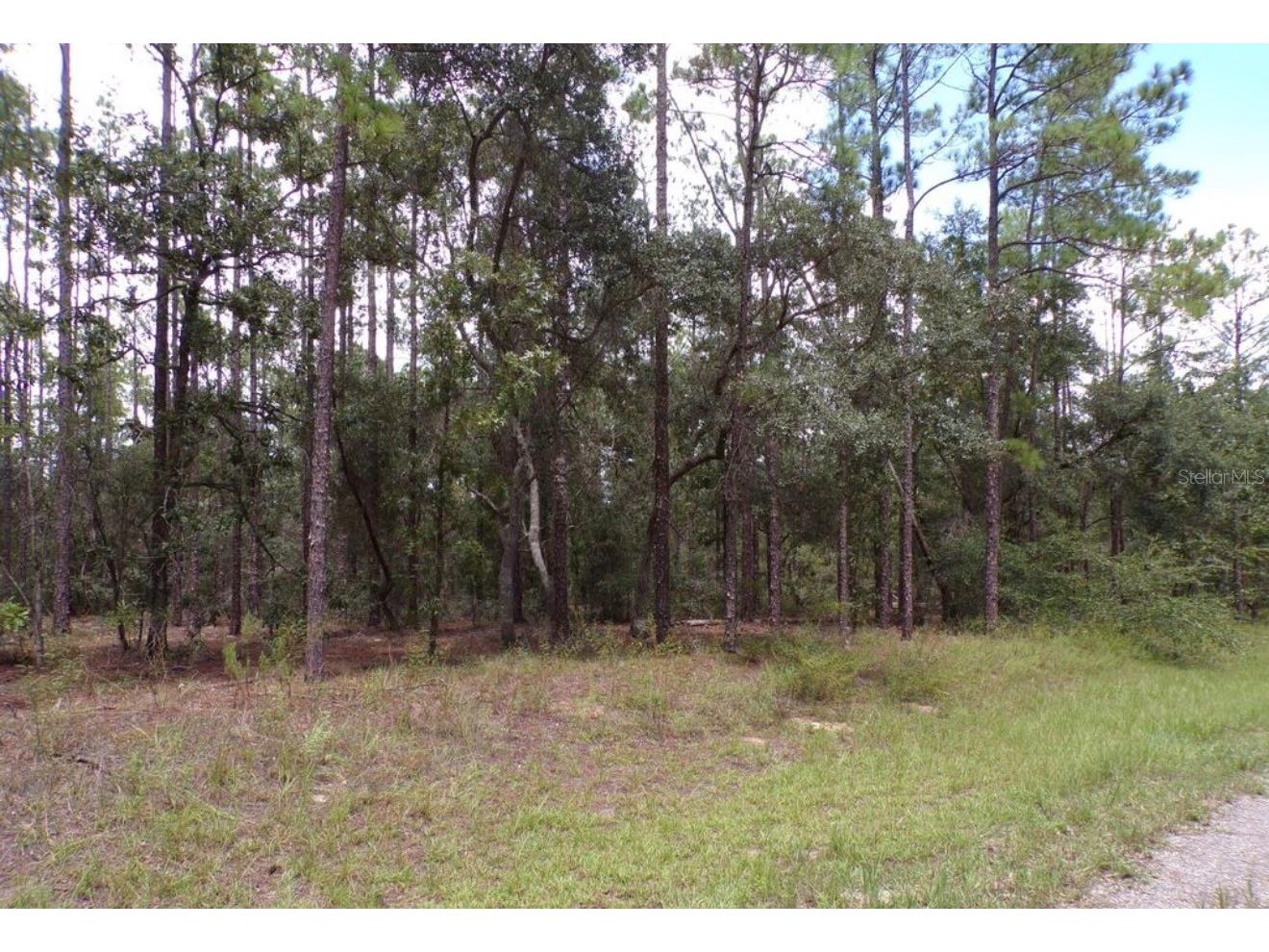 617 E Marquette Lane Dunnellon FL 34434 O6387196 image3