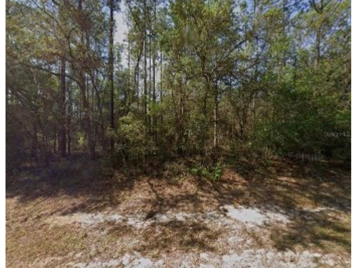 617 E Marquette Lane Dunnellon FL 34434 O6387196 image4