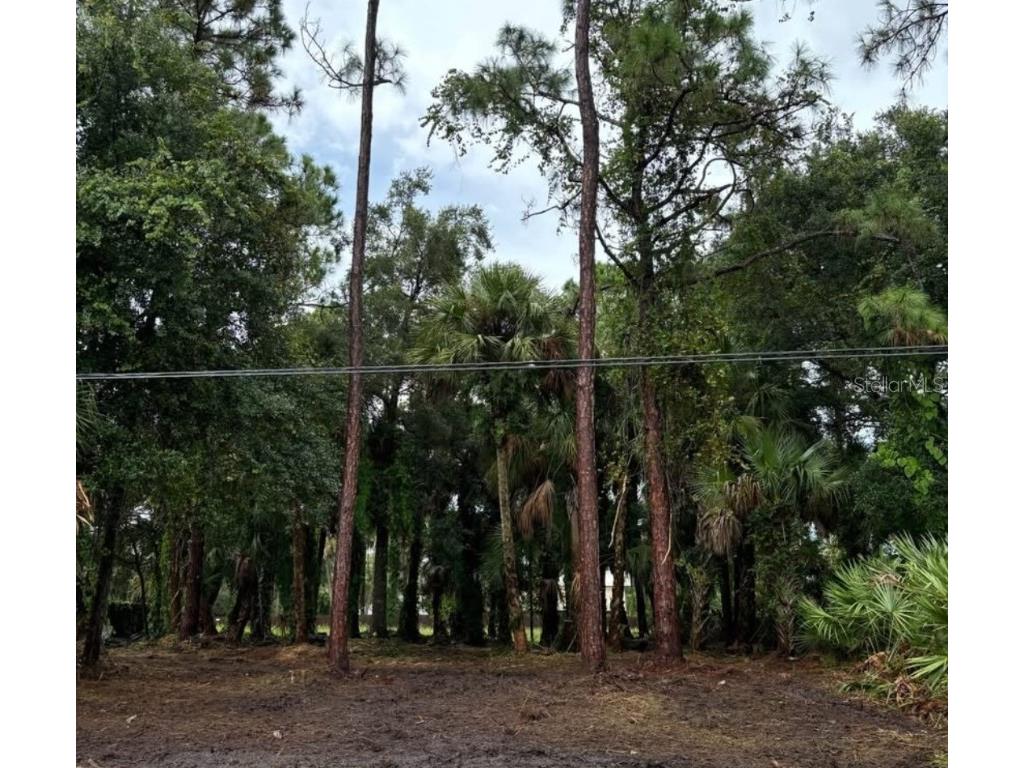 617 Harrington Street SW Palm Bay FL 32908 S5128517 image2